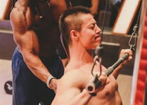 男人屌图片,屌的形态与功能
