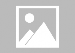 成毅吃瓜娱乐,揭秘娱乐圈幕后故事