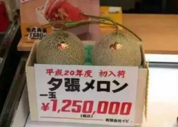 吃瓜娱乐有收益吗,揭秘网络时代收益新途径