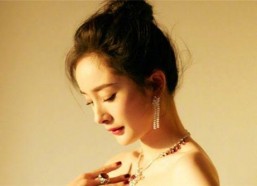 中国最多粉丝的明星